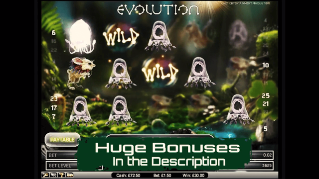 Evolution 4