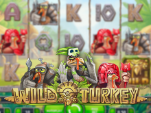 Wild Turkey